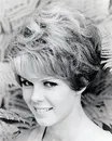 Sue Hamilton