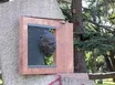 Alberto Candeau