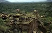 Kemp Niver