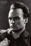 Juris Plavins