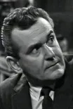 Robert Gerringer