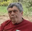Micha Shagrir