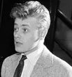 József Petrik