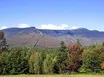 Monte Mansfield