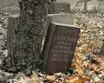 Ernst Steiner