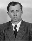 Josef Pavelka