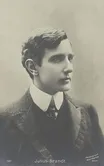 Julius Brandt