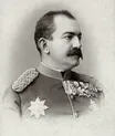 Milan Wolf