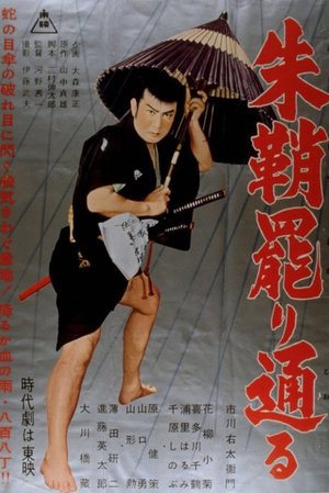 Red-Lacquered Sword poster