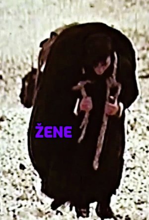 Women poster