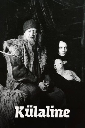 The Visitor poster