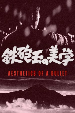 Aesthetics of a Bullet poster