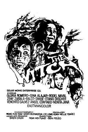 The Witch poster