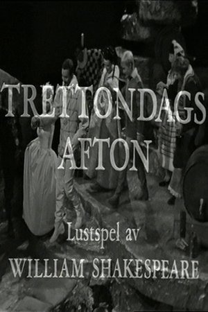 Twelfth Night poster