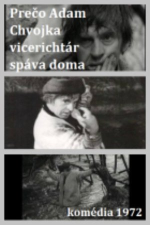 Adam Chvojka vicerichtár poster
