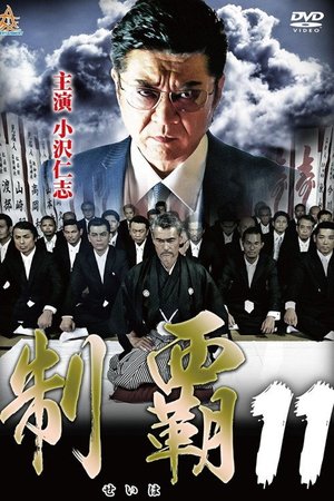 Conquest 11 poster