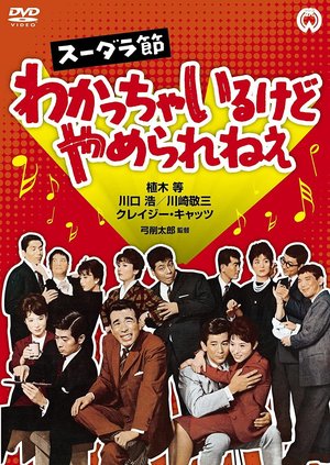 Sudara Festival: I Understand, but I can't Stop poster