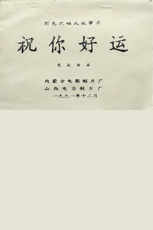 祝你好运 poster