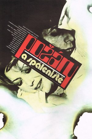 Požáry a spáleniště poster