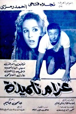 A Schoolgirl's Romance poster