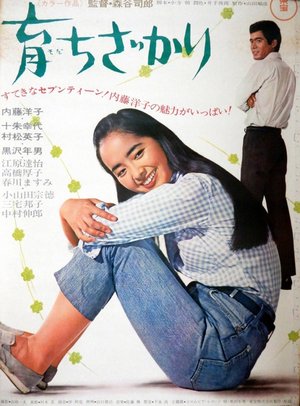 Sodachi zakari poster