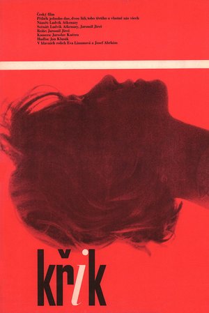 The Cry poster