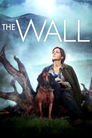 The Wall poster