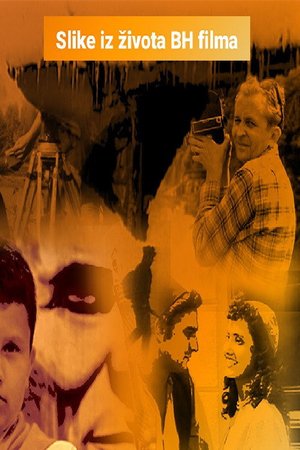 Scenes from the Life of BH Film poster