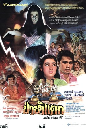 The Graveyard poster