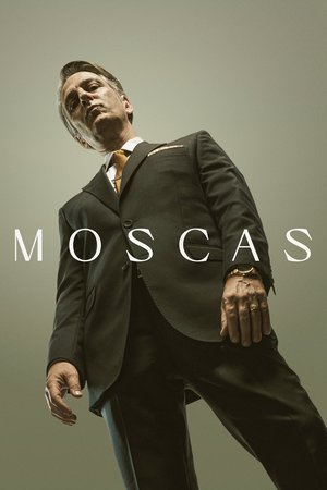 Flies poster
