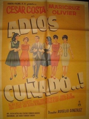 Adios cuñado poster