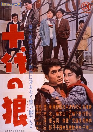 Teenage Wolf poster