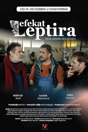 The Butterfly Effect poster