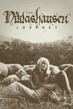 The Niklashausen Journey poster