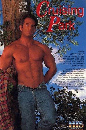 Cruising Park poster