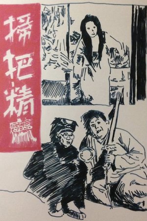 Spirit of the Broom poster
