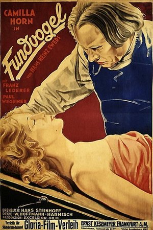 Fundvogel poster