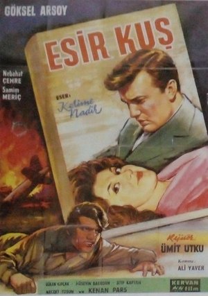 Esir Kuş poster