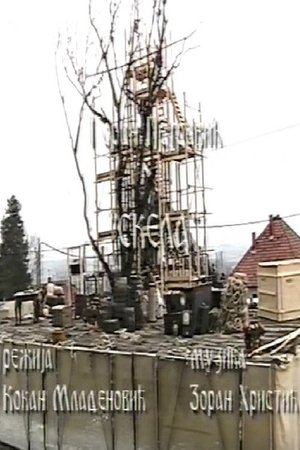 Scaffold poster