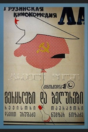 Swallows and Sparrows poster