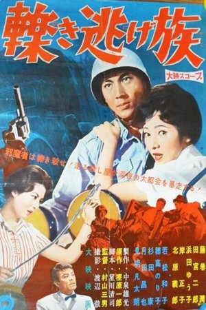 Hit and Run Gang poster