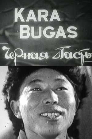 Kara Bugas poster