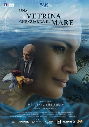 Una vetrina che guarda il mare poster
