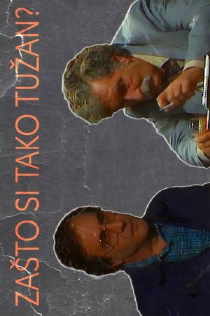 Why Are You So Sad? poster