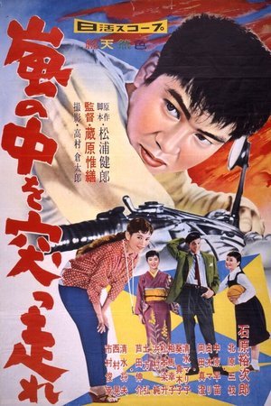 Showdown in the Storm poster
