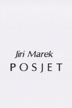 A Visit poster