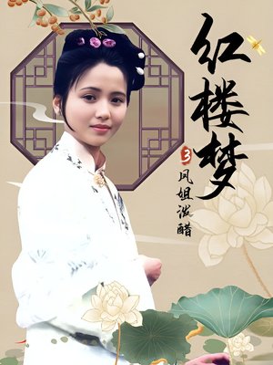 红楼梦第三部:凤姐泼醋 poster