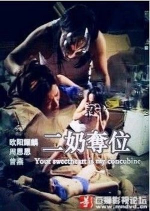 二奶奪位 poster