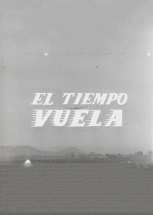 Time Flies poster