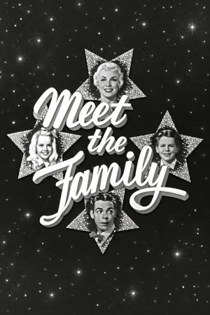 Meet the Family poster